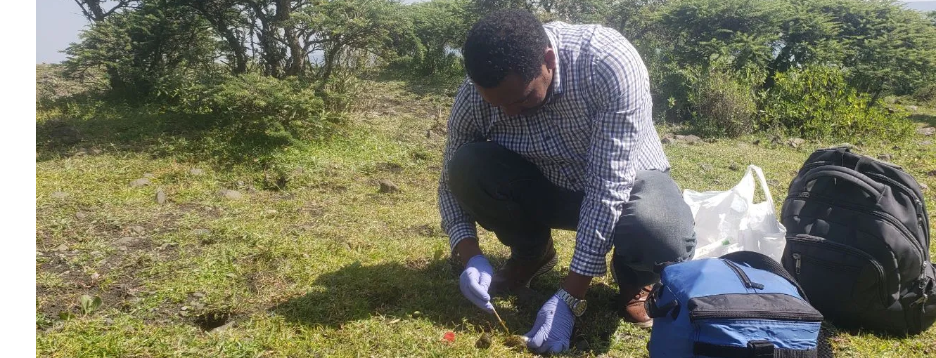 Zerehun Asefa