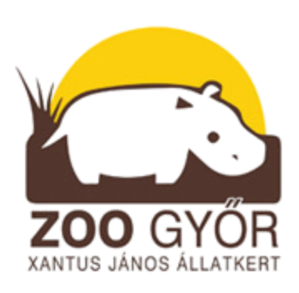 gyor