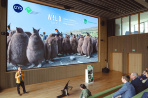 WildTalk #5 – Dr. Thierry Boulinier