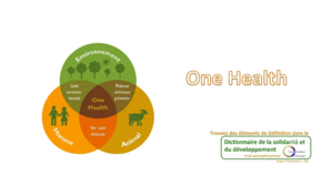onehealth schéma