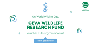 Ceva WRF launches its Instagram account