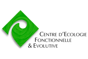 CEFE.png
