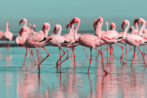AdobeStock_317294940.jpeg