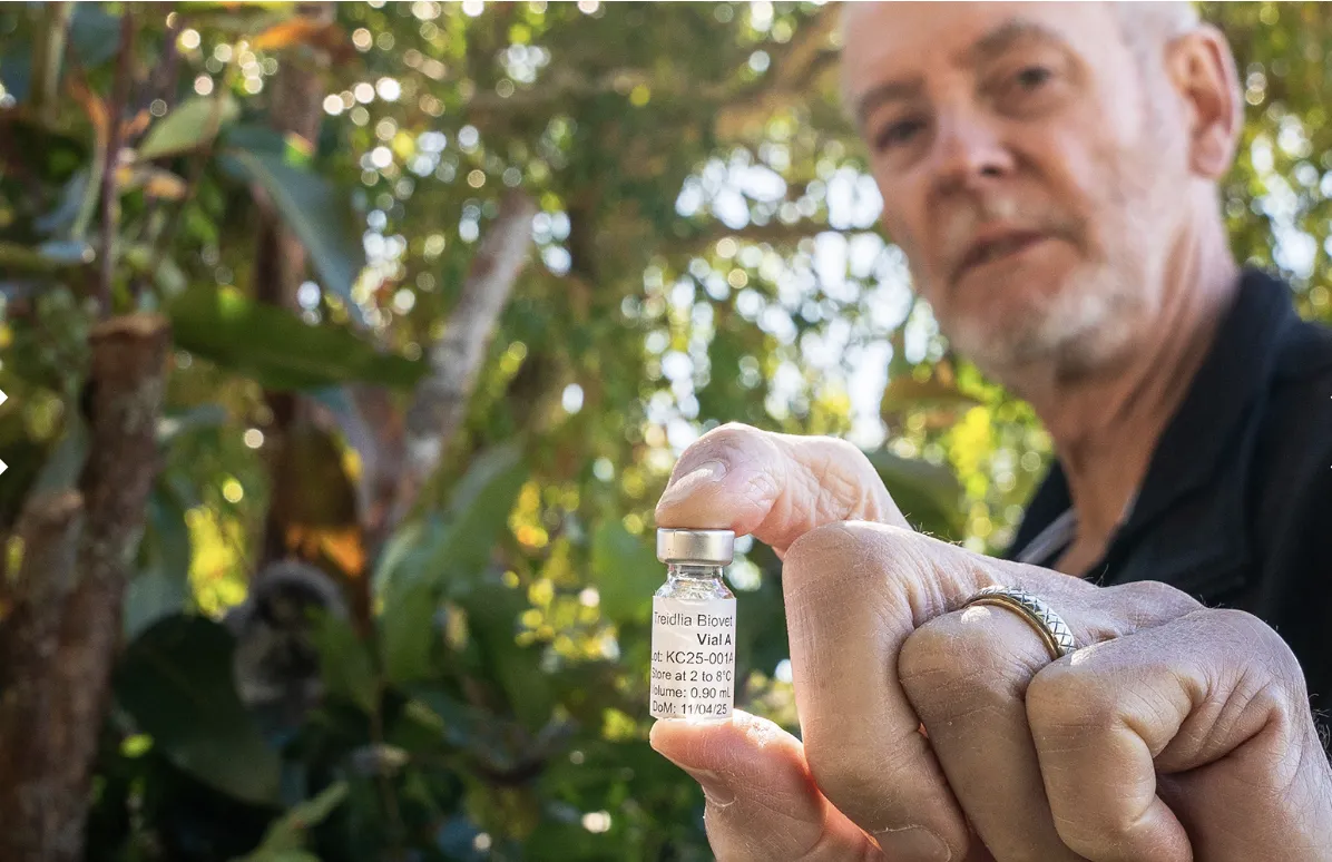 vaccin koala chlamydia peter timms