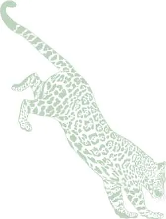 LEOPARD CRAYON