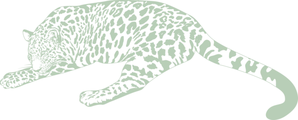 LEOPARD-CRAYON_2.png